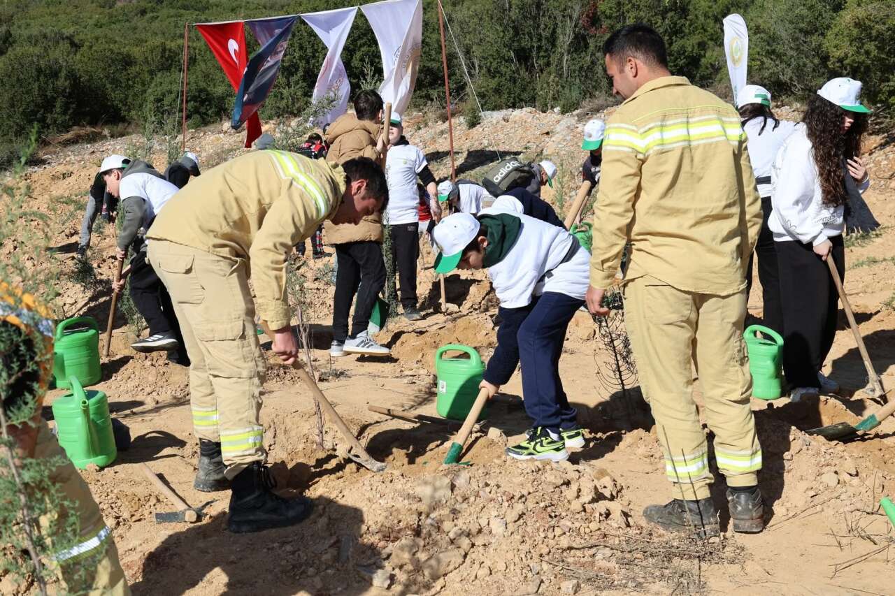 Muğla’da  Yanan Alanlar  Yeniden Yeşerecek 1